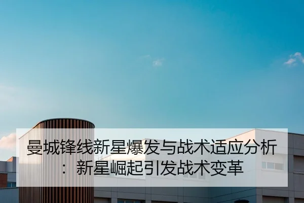 man-cheng-feng-xian-xin-xing-bao-fa-yu-zhan-shu-shi-ying-fen-xi-xin-xing-jue-qi-yin-fa-zhan-shu-bian-ge-2-671.jpg